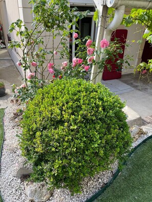 Property grounds - Belle Maison Familiale de 169 m² Avec Jardin aux Portes de Paris (chatillon)