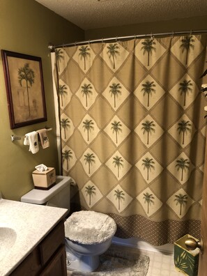 Combined shower/bathtub, hair dryer, towels, toilet paper