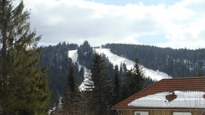 A wooden cabin with a sloped roof, surrounded by snow-covered ground and dense forest. - Gîte Pour 8-10 Personnes Avec vue Imprenable ! (Gérardmer)