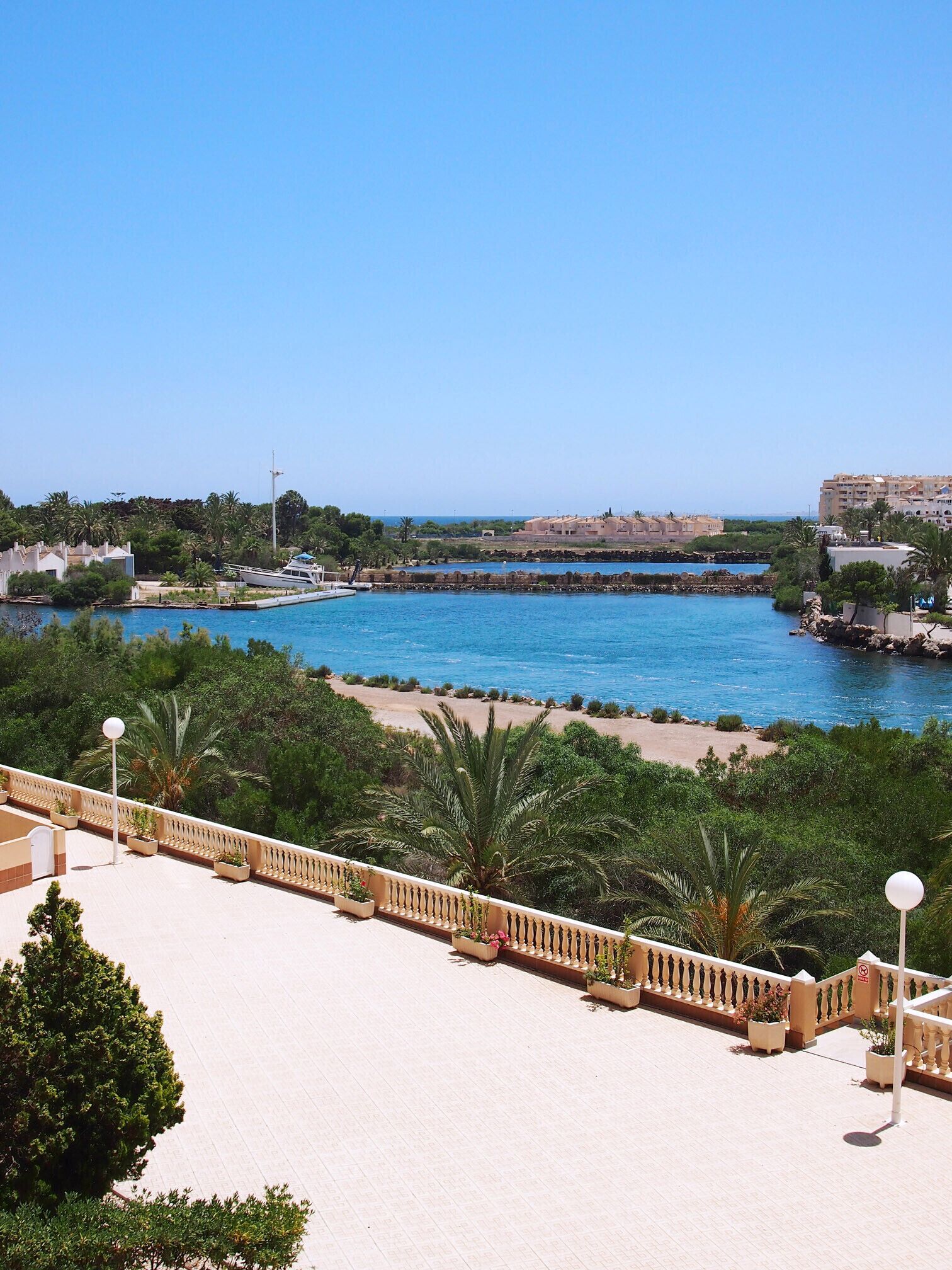 Une vue sur la côte, avec une mer bleue et limpide, une plage de sable et une promenade bordée de plantes en pot.