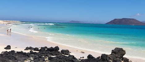 Nära stranden