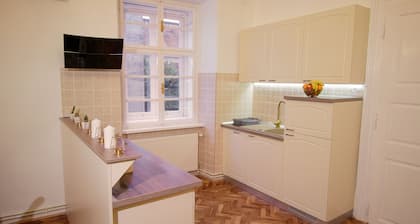 Little Vienna Gold Apartment