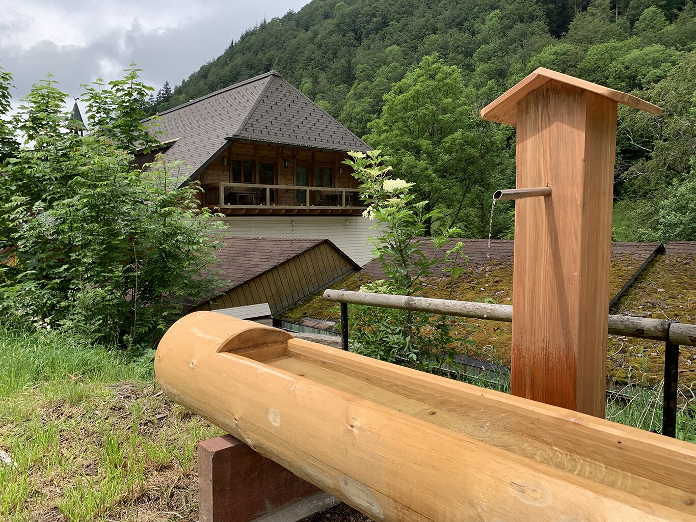 Área da propriedade