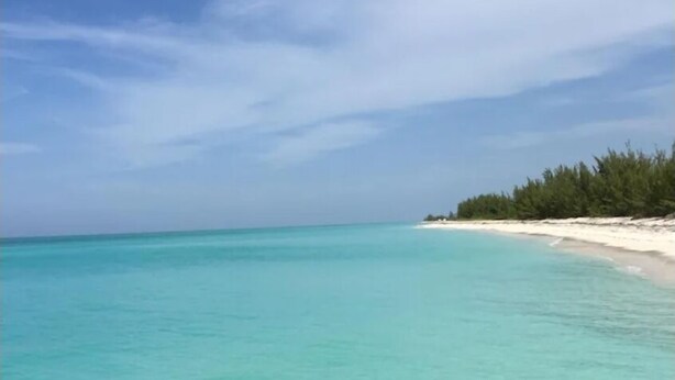 A beach with clear turquoise water and a sandy shore. - Delancy's Cottage (north caicos)