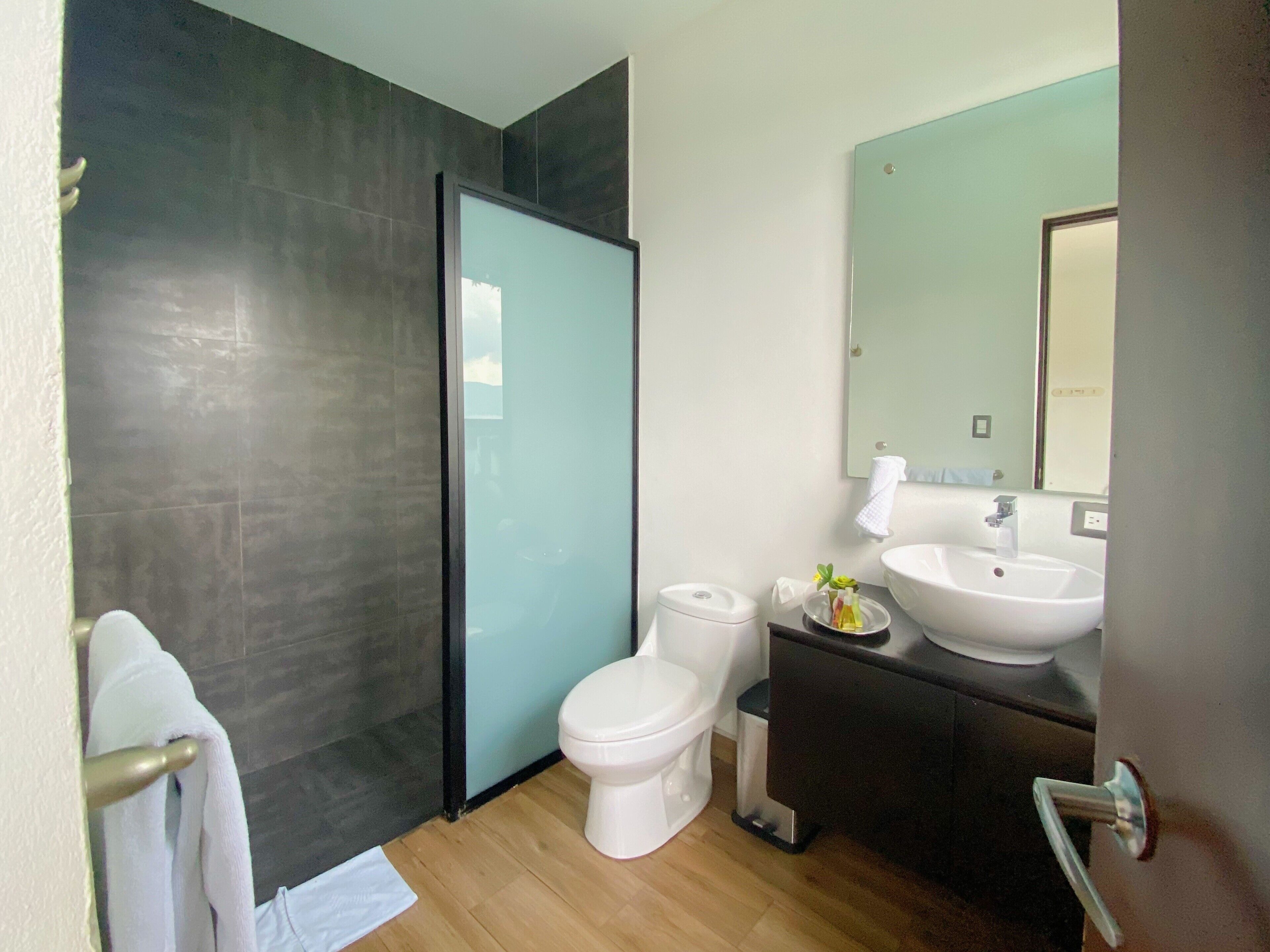 lake view king | bathroom | shower, rainfall showerhead, hair dryer, bidet