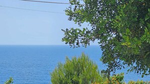 A coastal view with a stone wall and greenery.