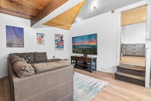Fernseher, Kamin, Bücher, Arbeitsbereiche