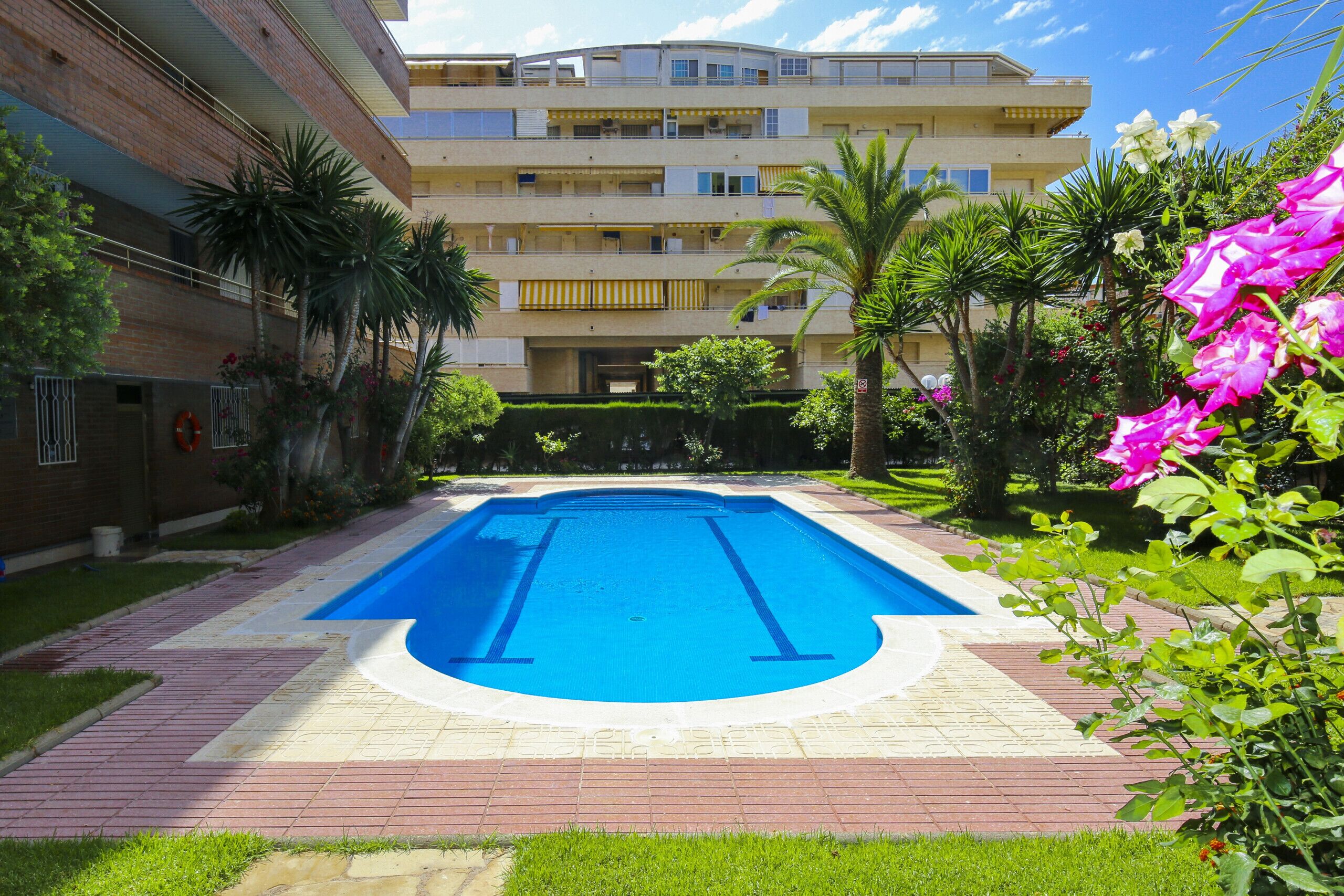 A swimming pool surrounded by a brick pathway, with a multi-story building in the background and lush greenery.