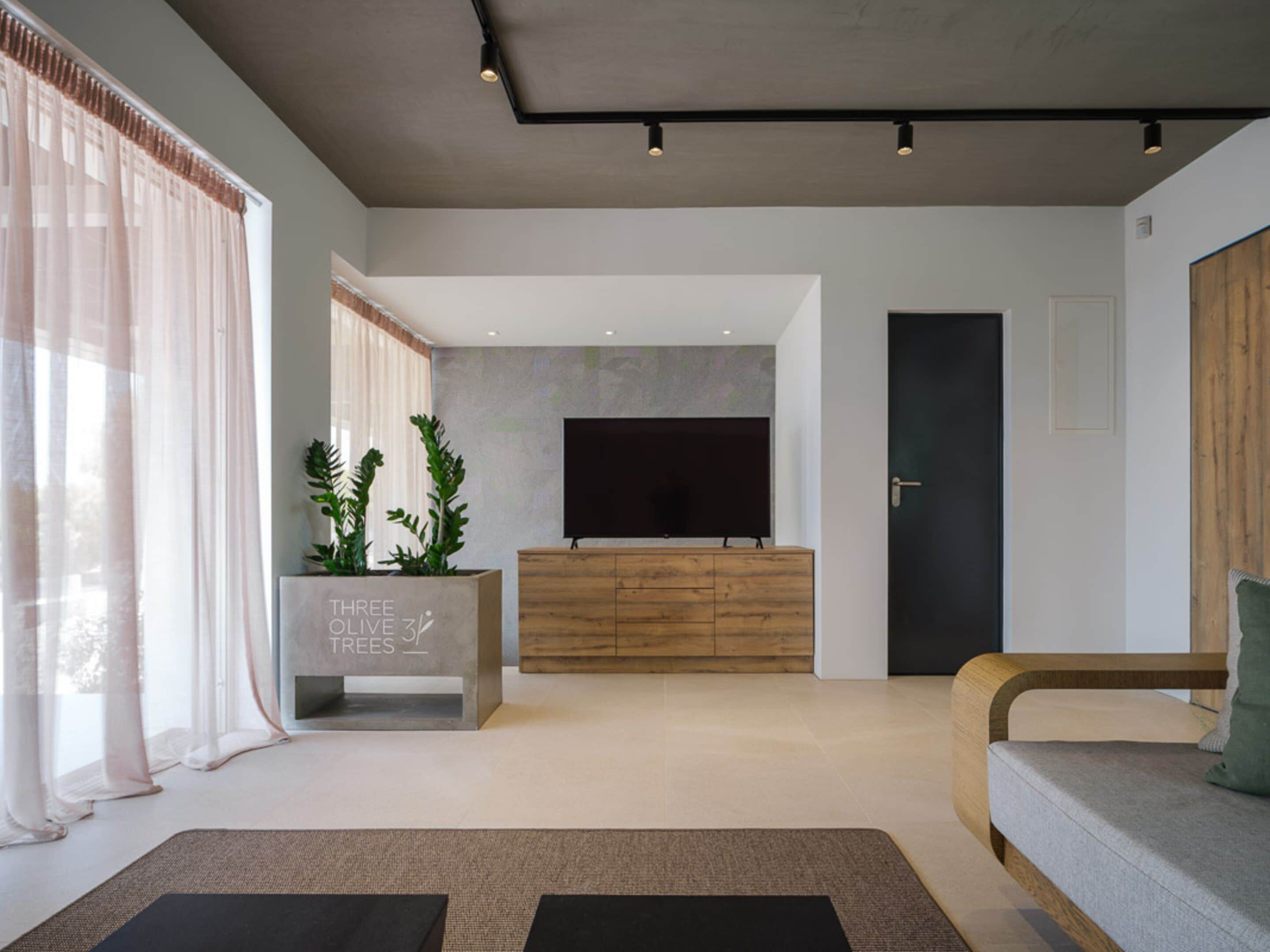 Una sala de estar moderna con un televisor de pantalla plana, un mueble de madera y un sofá.