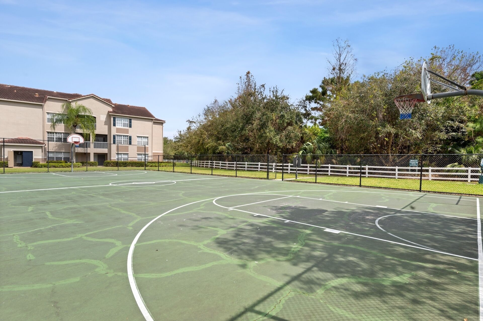 Basketball court