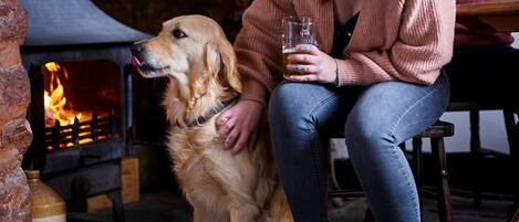 A person sitting next to a dog in a cozy indoor setting with a fireplace.