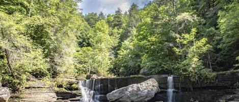 A natural landscape with a waterfall, a pond, and dense forest.