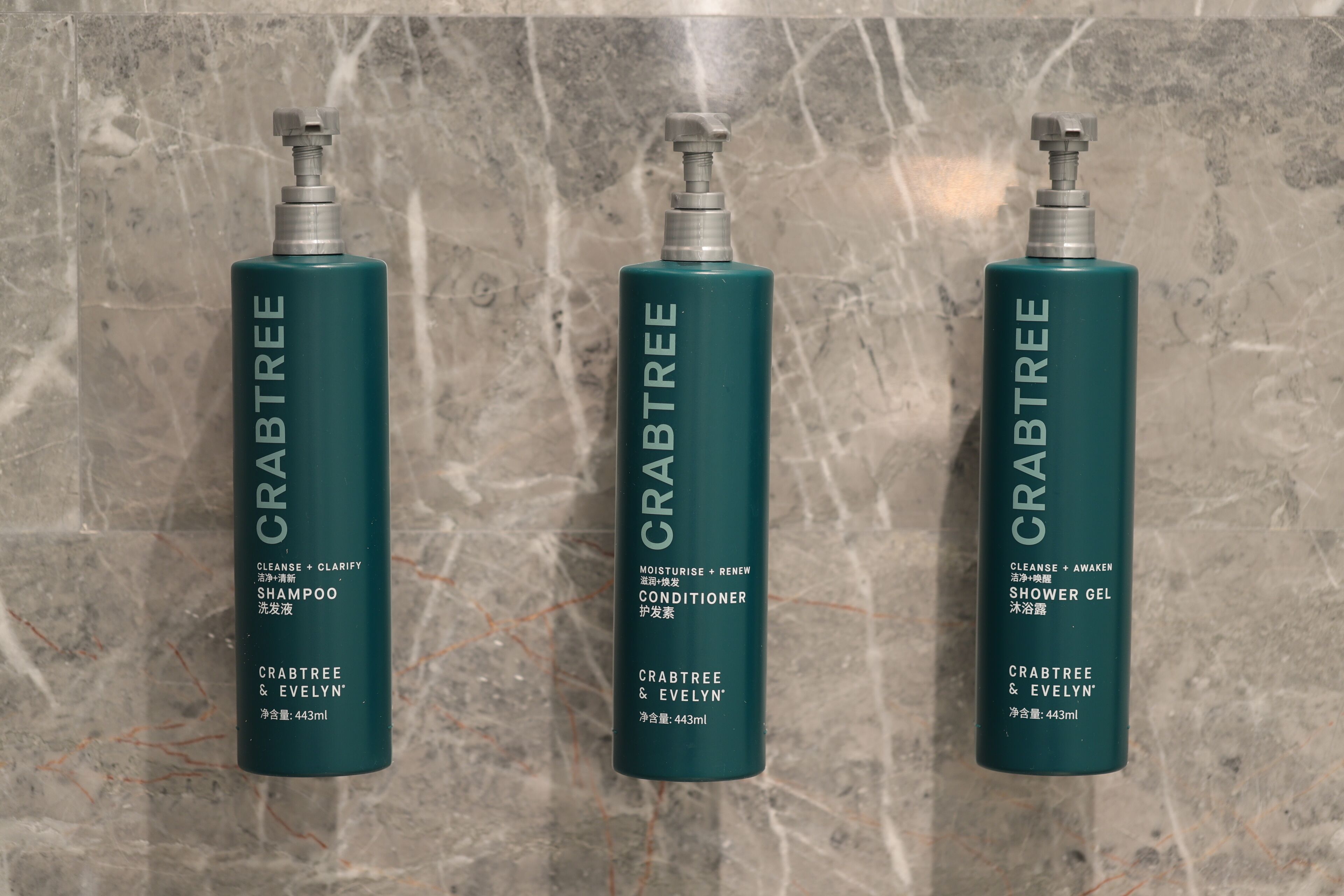 king accessible room | bathroom | shower, rainfall showerhead, designer toiletries, hair dryer