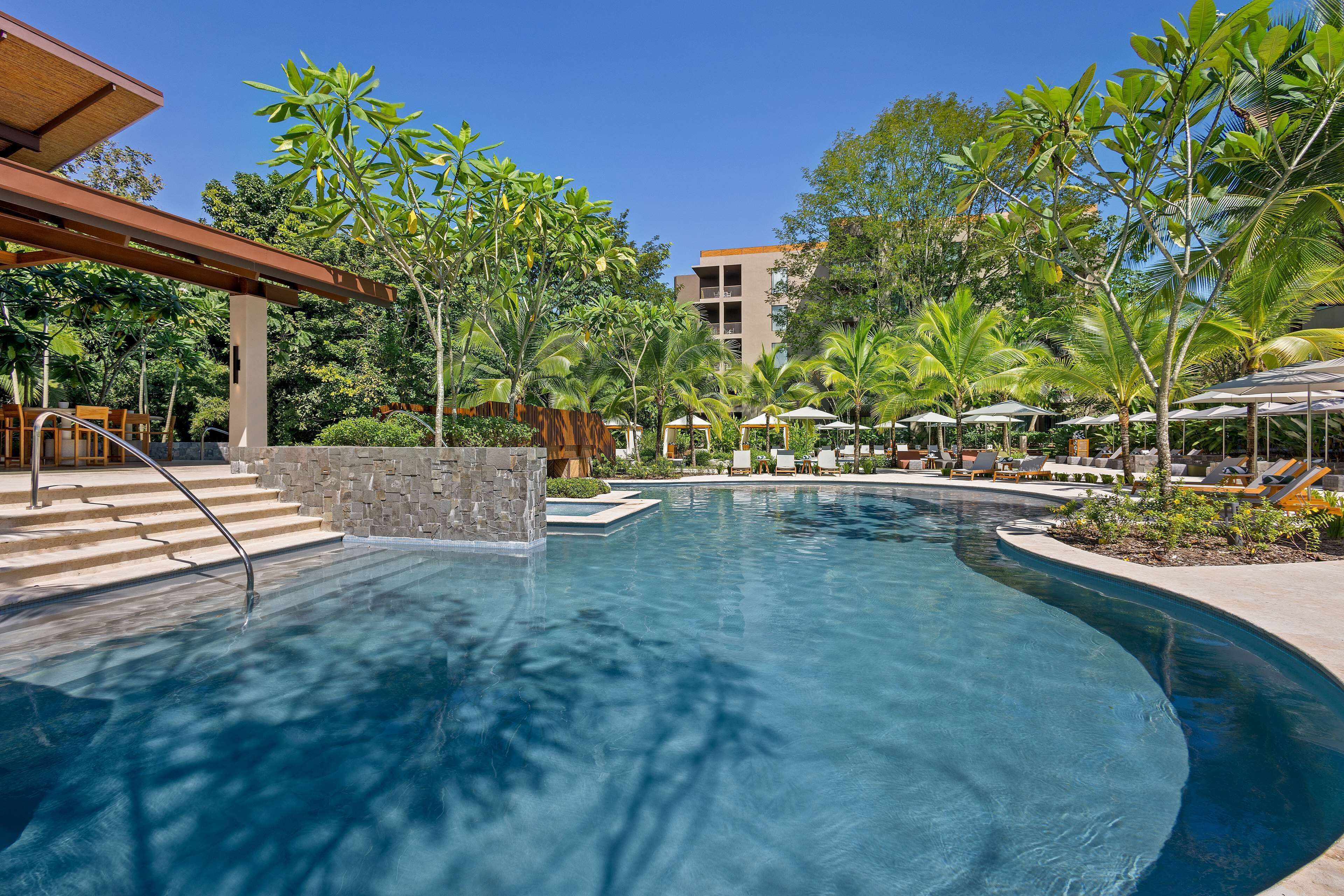 A swimming pool with a curved design, surrounded by palm trees and lounge chairs.