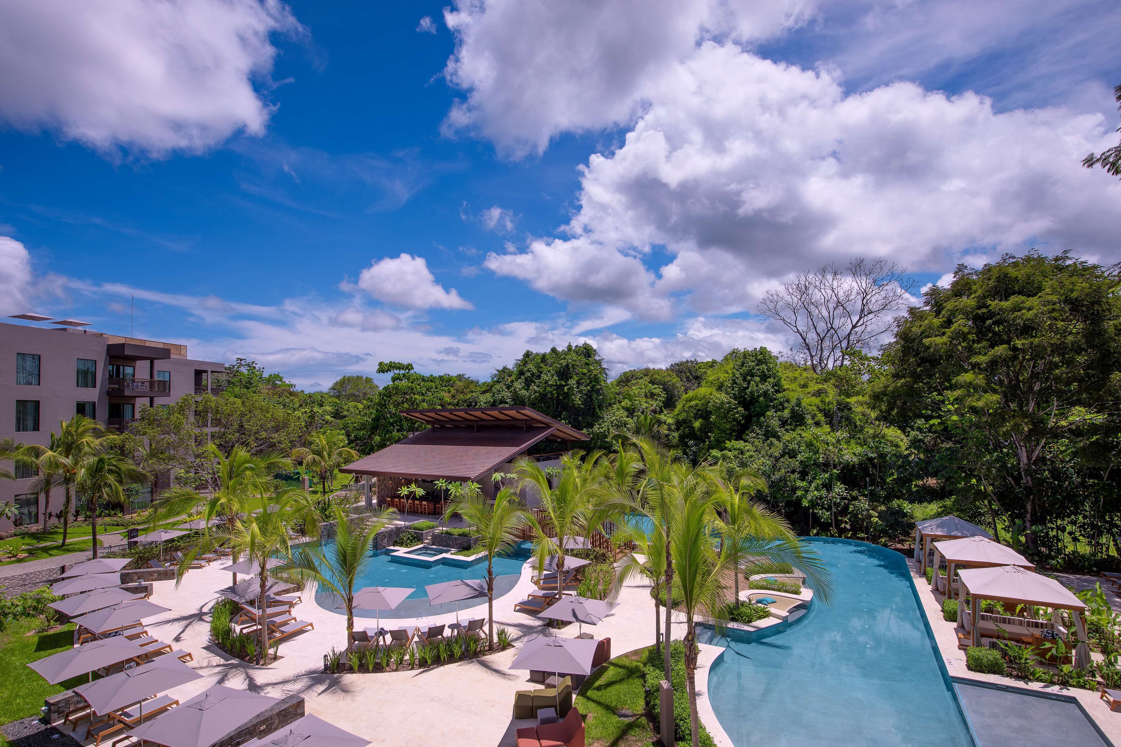 A resort with a swimming pool, lounge chairs, and palm trees.