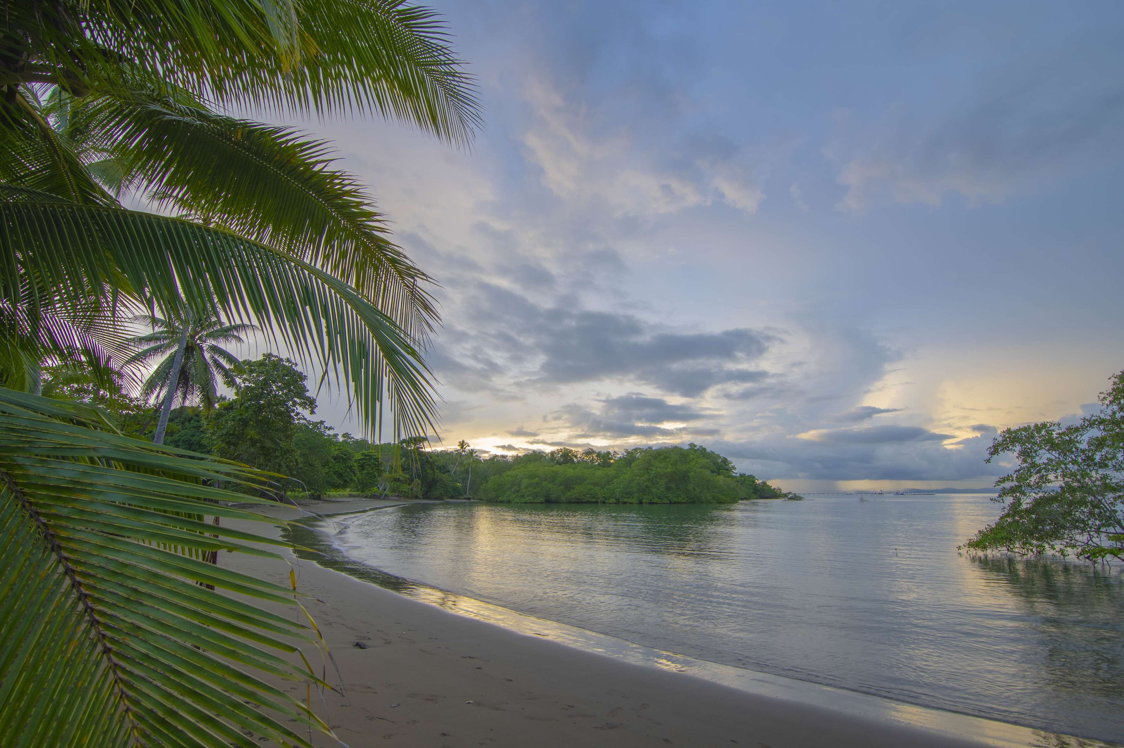 A calm river with a sandy beach and dense greenery.