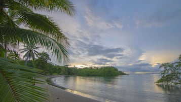 A calm river with a sandy beach and dense greenery.