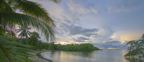 A calm river with a sandy beach and dense greenery.