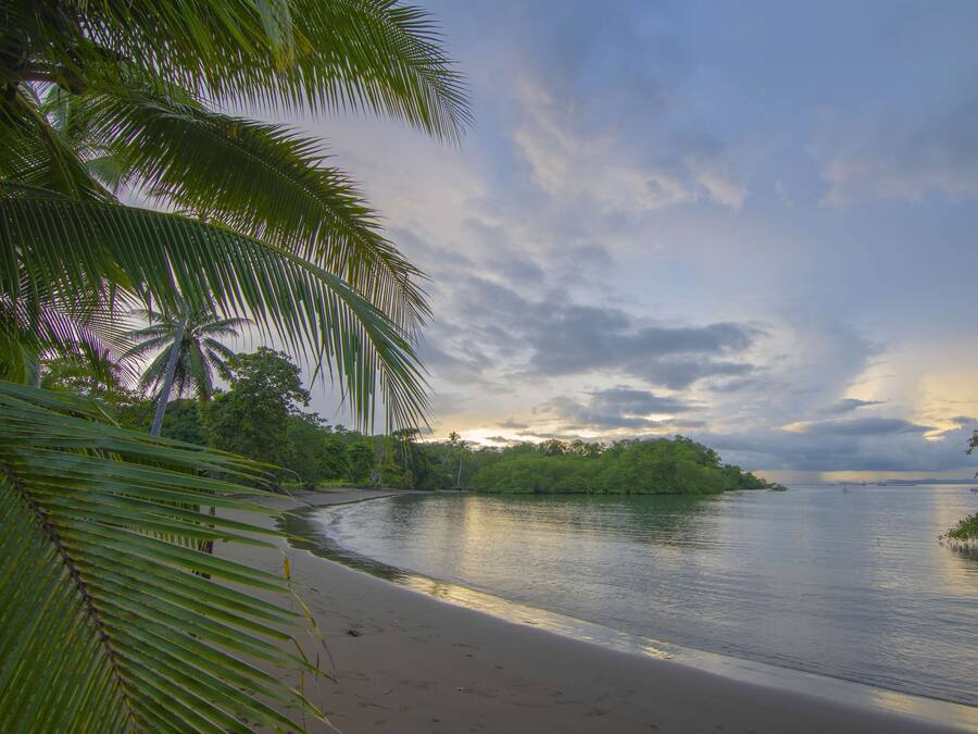 A calm river with a sandy beach and dense greenery.