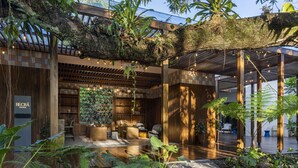 Un espace de détente extérieur doté d’un plancher en bois, de sièges et de diverses plantes.