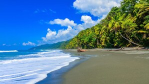 Une plage avec une eau d’un bleu limpide, des palmiers et une rive sablonneuse.
