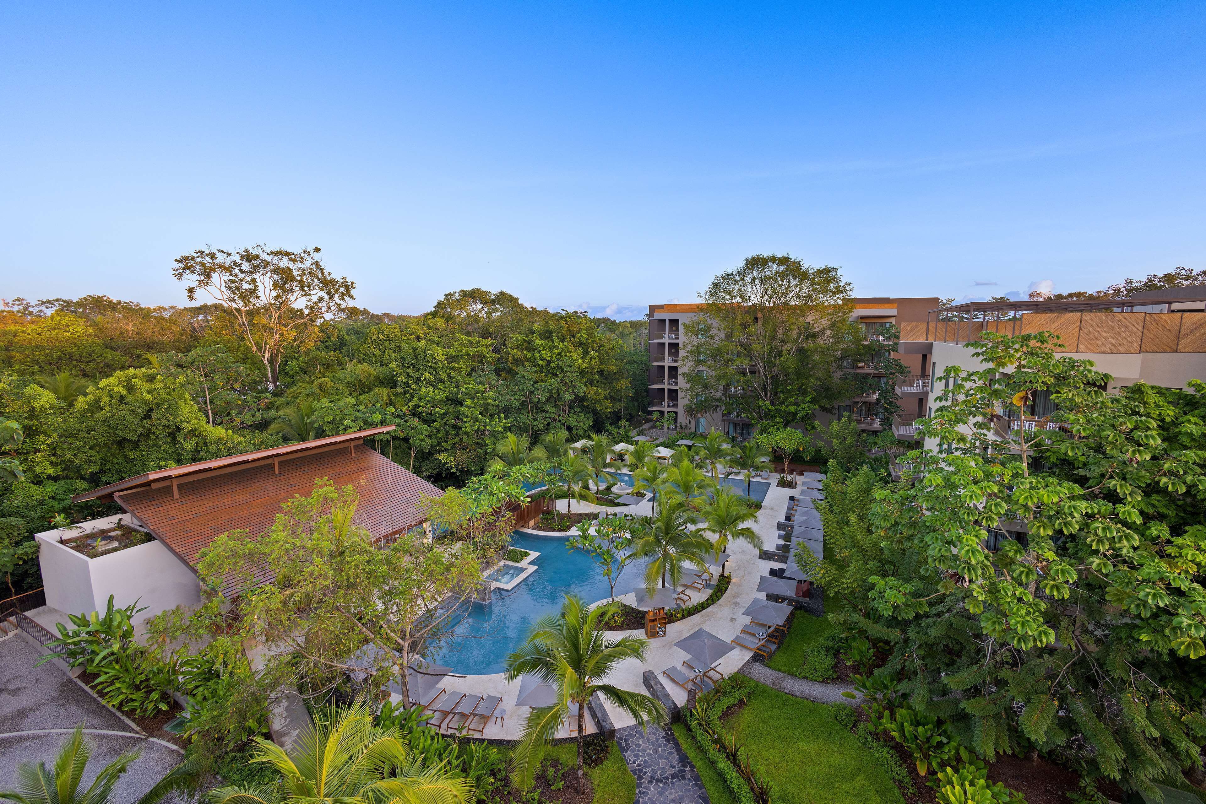 A resort with a swimming pool surrounded by palm trees and lounge chairs, set against a backdrop of lush greenery and modern buildings.