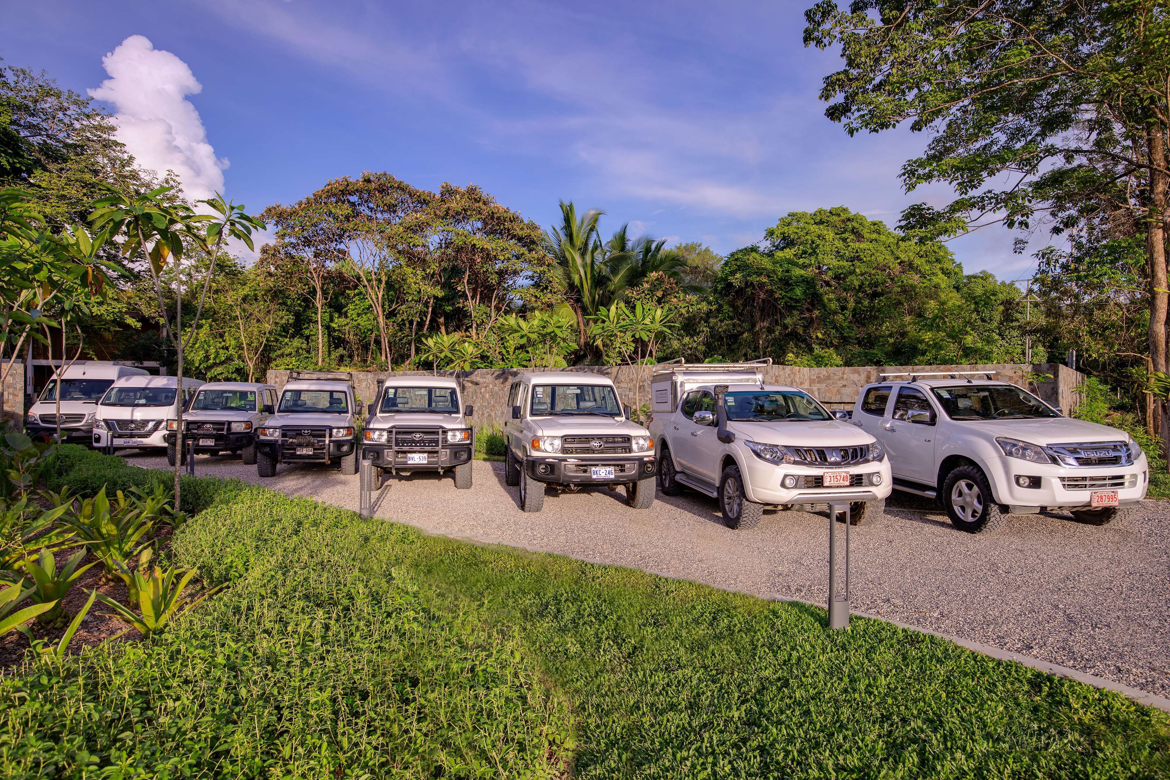 A row of white SUVs parked in a gravel lot surrounded by lush greenery and trees.
