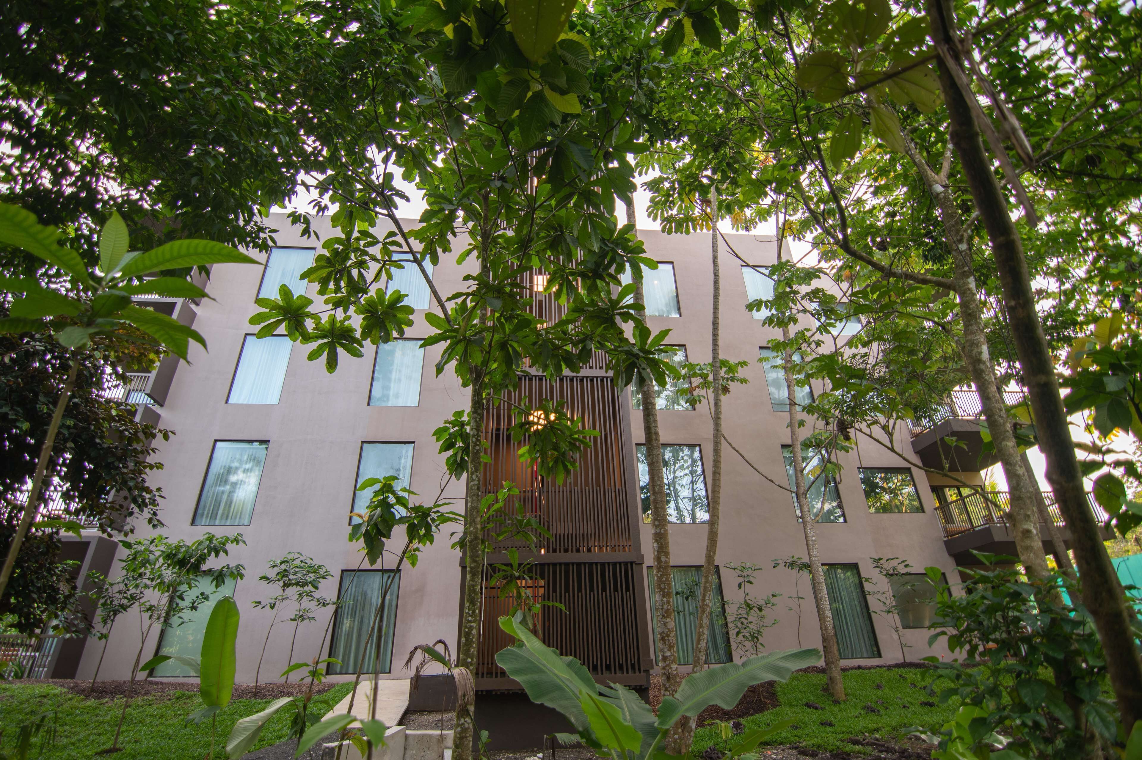 A modern building with multiple floors, surrounded by lush greenery and trees.