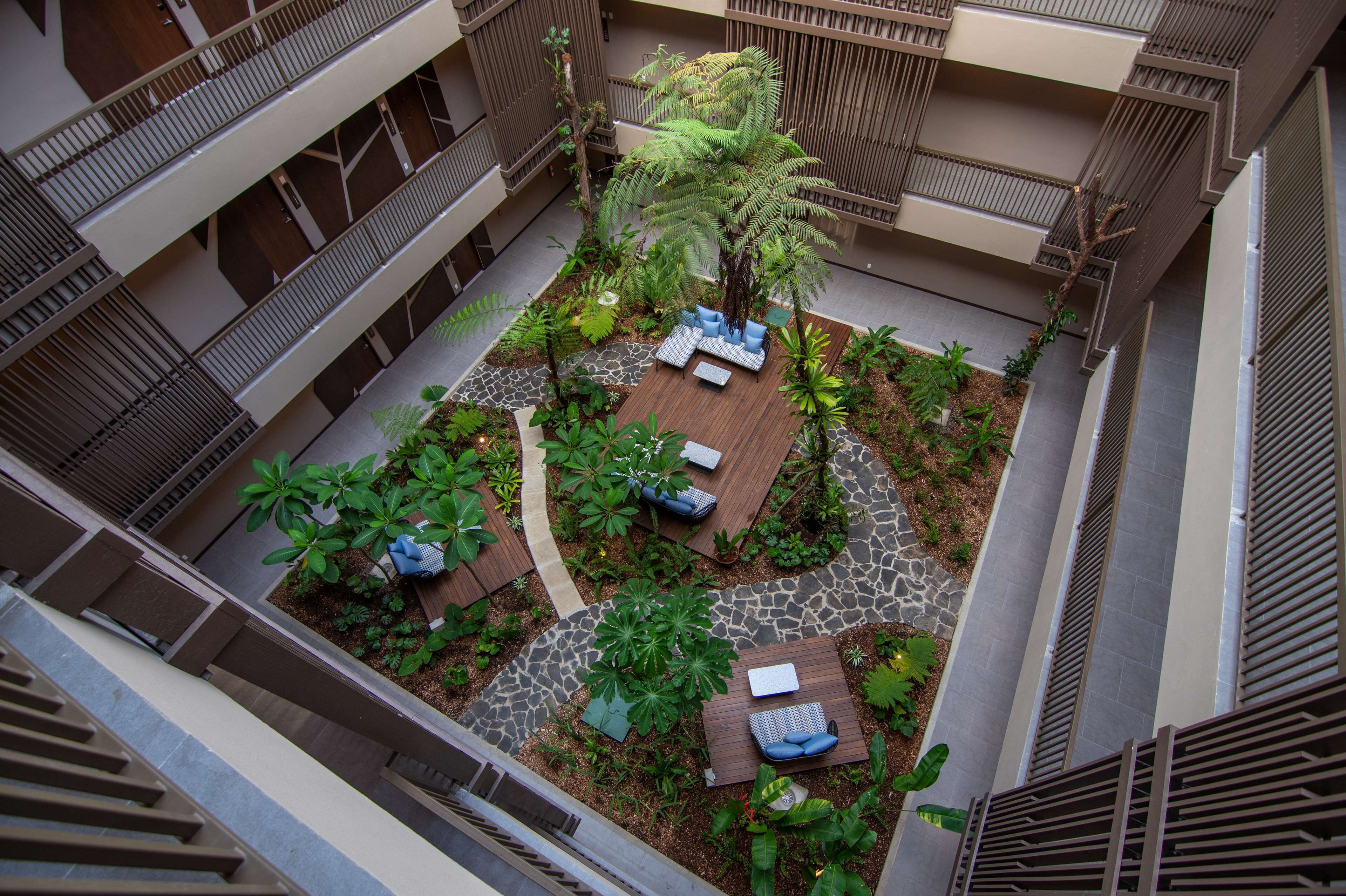 A rooftop garden with seating areas, a palm tree, and a variety of plants.