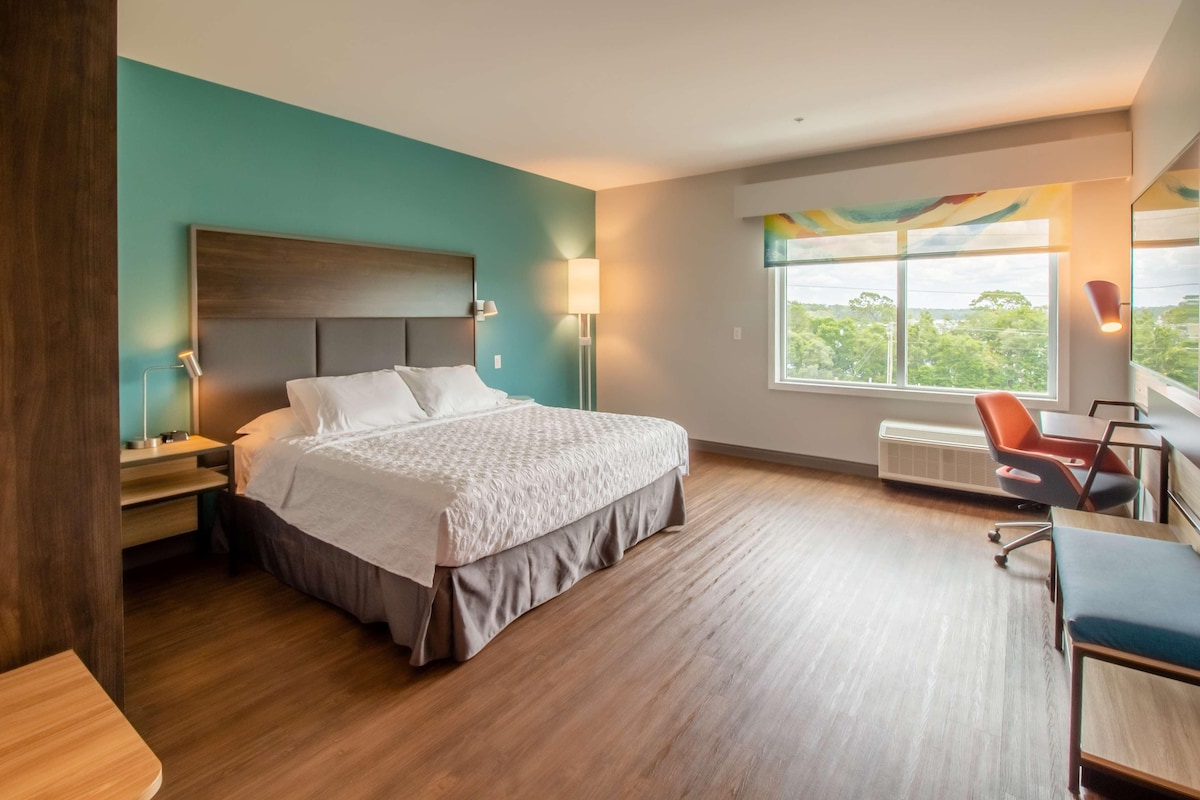 Une chambre d’hôtel avec un lit, un bureau et une chaise. Il y a une fenêtre donnant sur des arbres.
