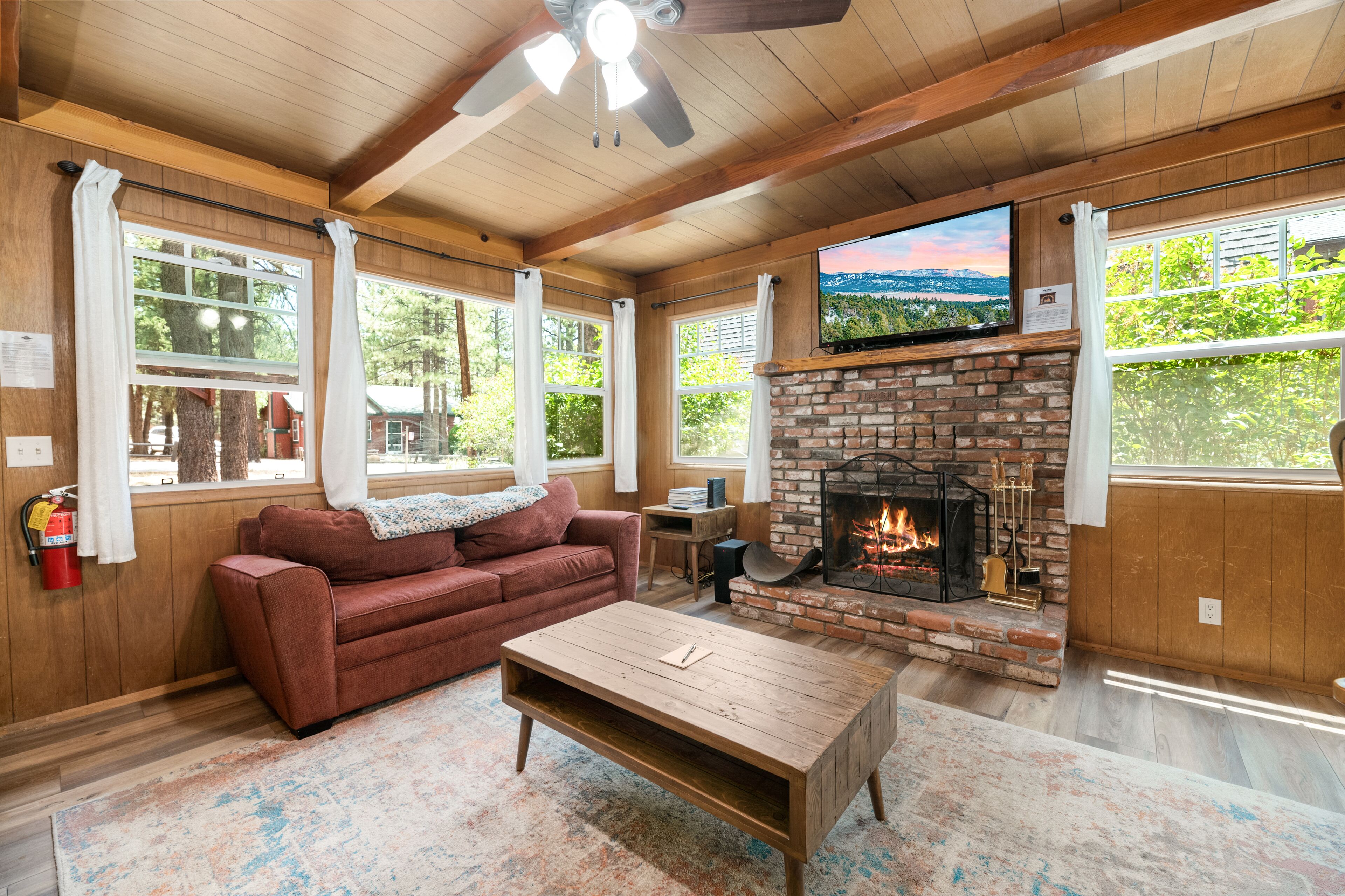 Televisión, chimenea y reproductor de DVD 