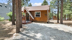 A wooden cabin with a sloped roof, a porch, and a gravel driveway. - Finch Nest - Fireplace, Deck, Walk to Lake & Village (Big Bear Lake)