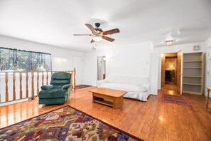 Télévision, cheminée, jeux vidéo, lecteur de DVD