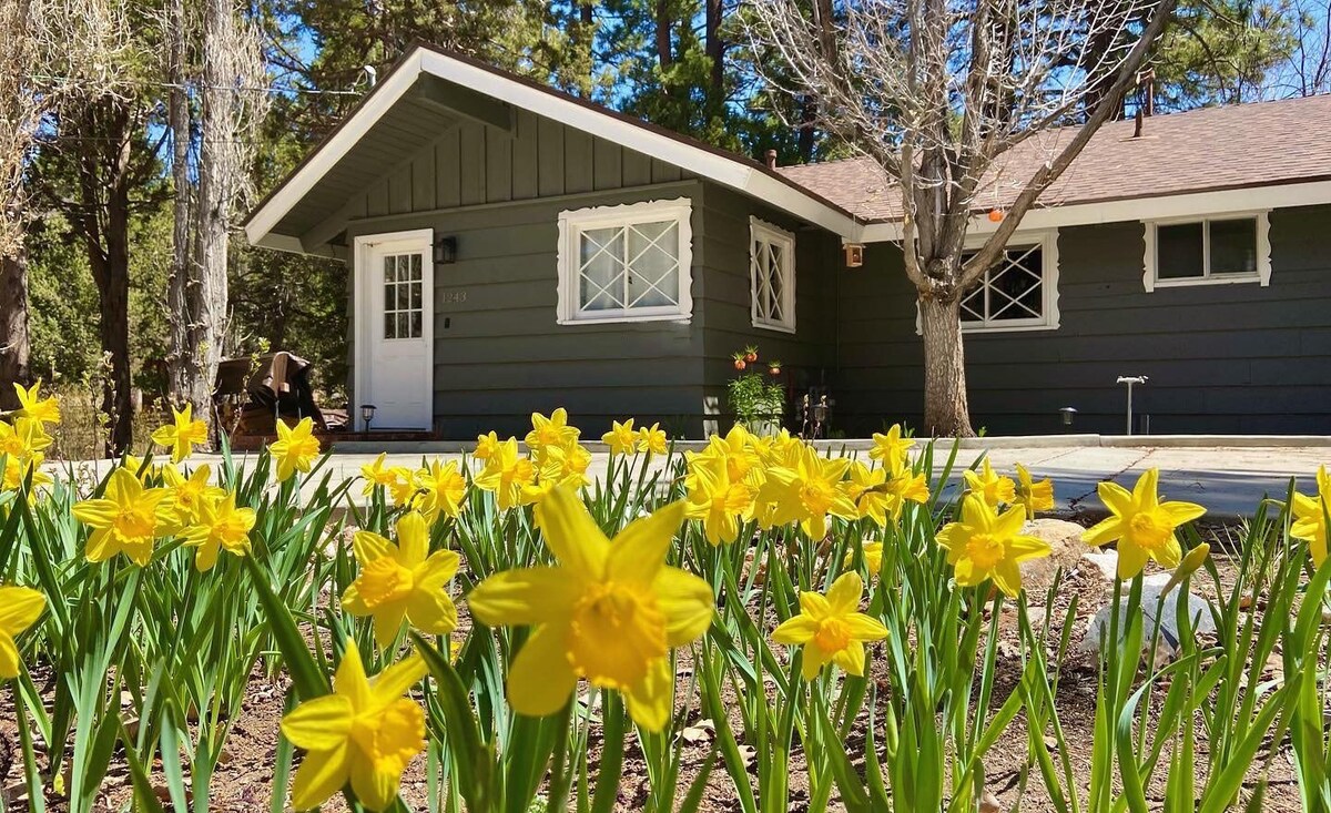 Peaceful Pines Panorama - Game Room, Air Hockey, Ping Pong, Fireplace