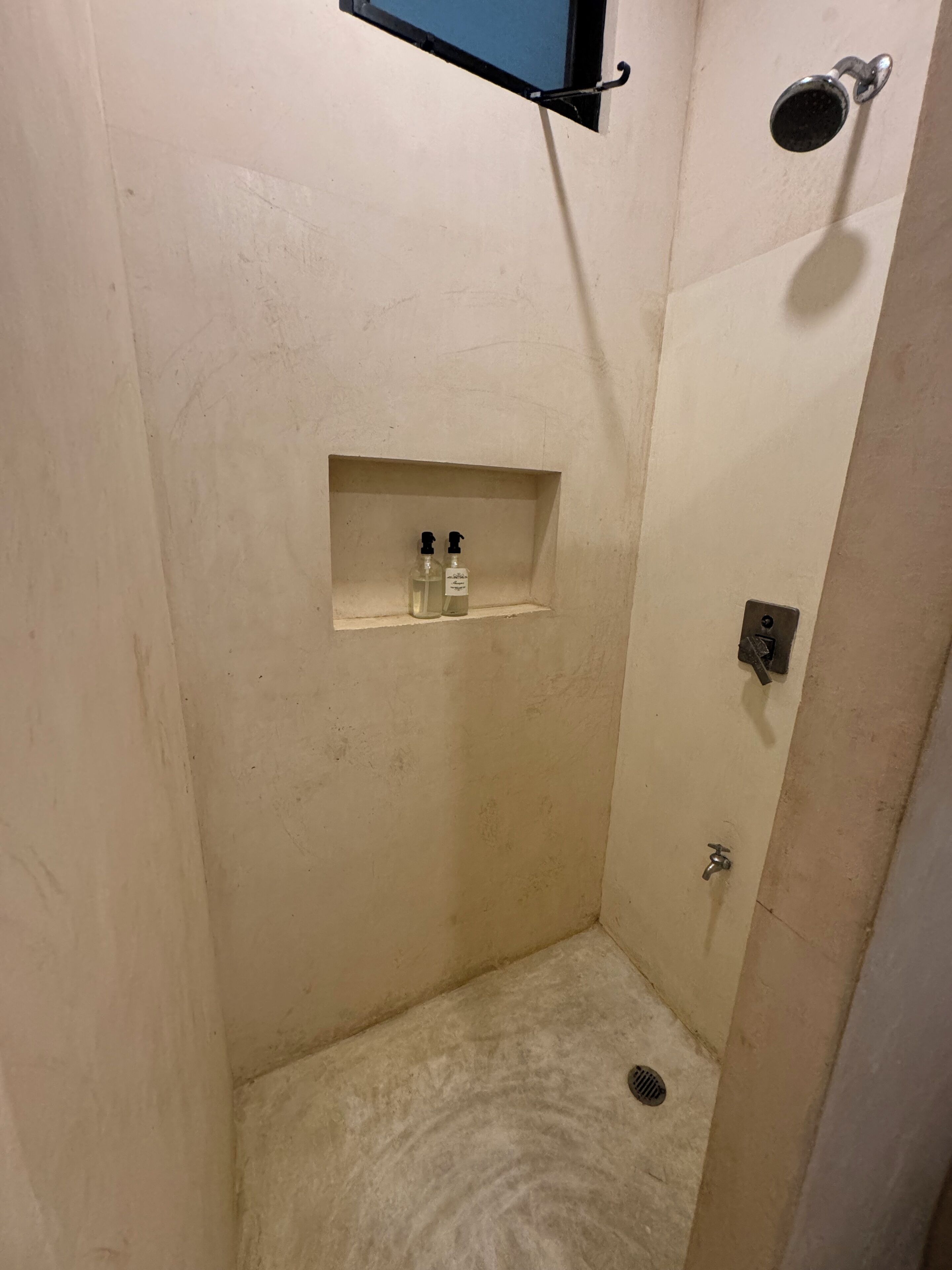 Un espacio de ducha pequeño y cerrado con un estante que contiene dos botellas.