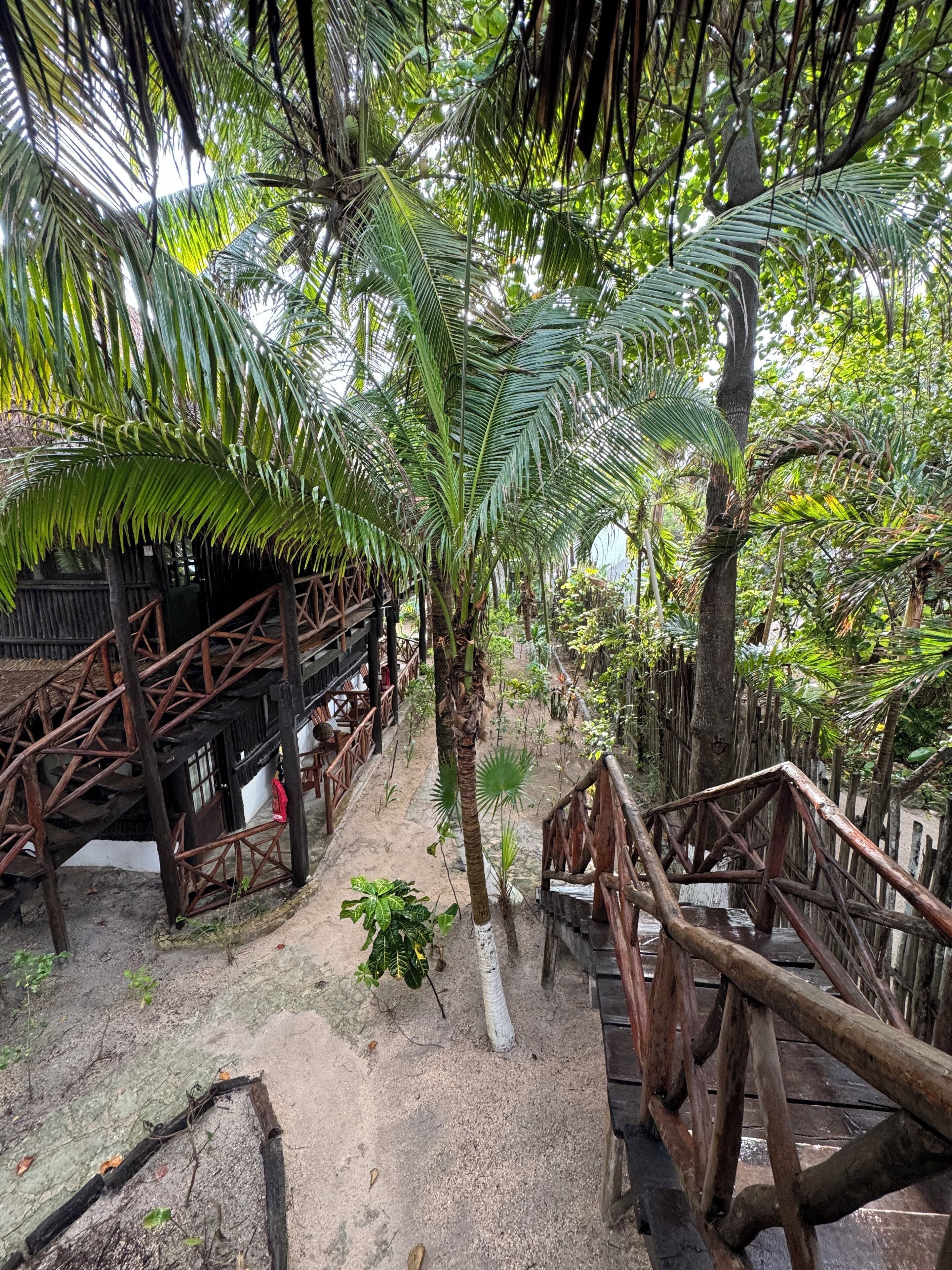 Un escalier en bois mène à une structure rustique également en bois, qui est entourée d’une végétation luxuriante et de palmiers.