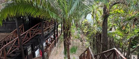 Un escalier en bois mène à une structure rustique également en bois, qui est entourée d’une végétation luxuriante et de palmiers.