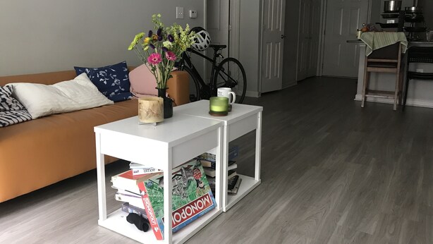A modern living room with a sofa, a coffee table, and a bookshelf. - Two bedroom apartment with lots of light (Atlanta)