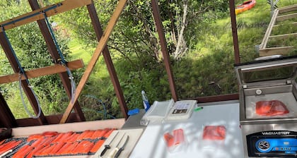 Kenai River Fishing Cabin #2 30 feet from the riverbank