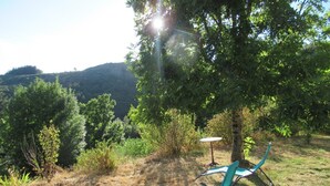 Deux chaises de jardin vertes sont placées sous un arbre, près d’une table. L’ensemble est entouré d’herbe sèche et de verdure, et des collines se dessinent à l’arrière-plan.
