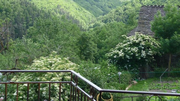 A mountainous landscape with a stone staircase leading up a hill.