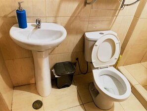 Douche, serviettes fournies, papier toilette