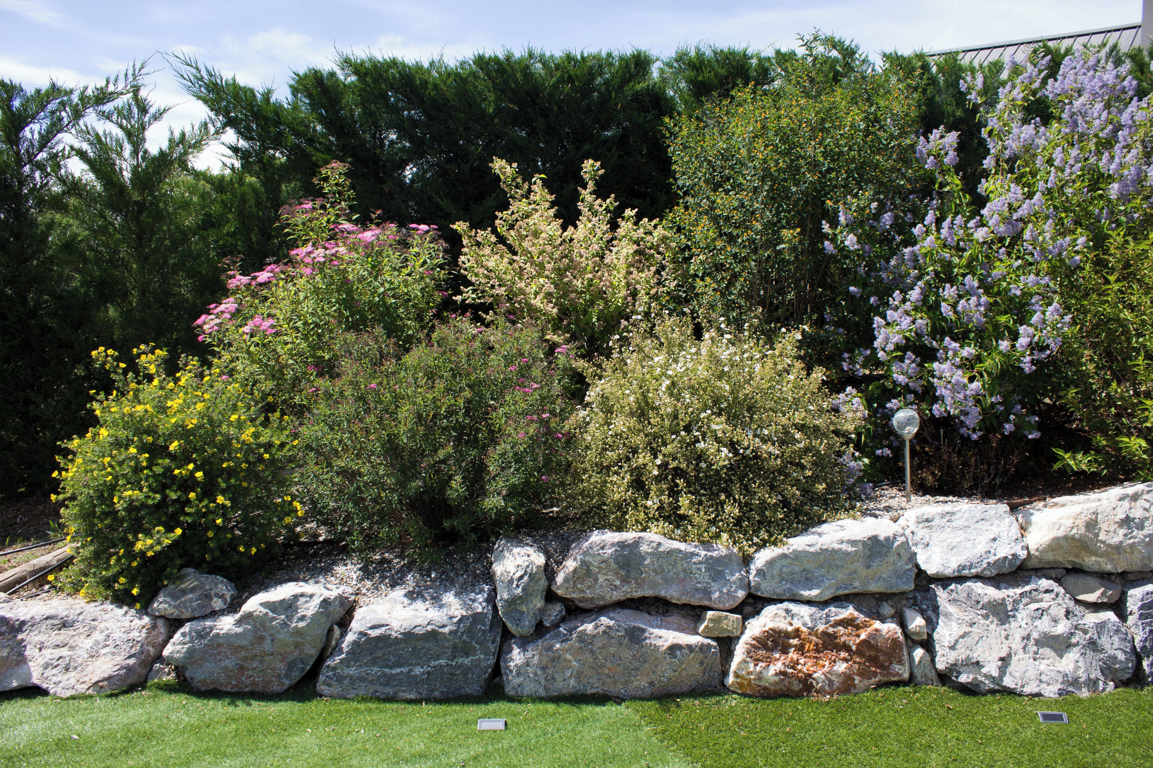 A landscaped garden with various shrubs and a stone wall.