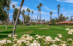 Ferienhaus (Serena) | Golf