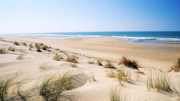 Uma praia com dunas de areia e vegetação rasteira.