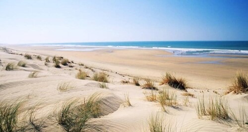  Authentique maison Oléronaise