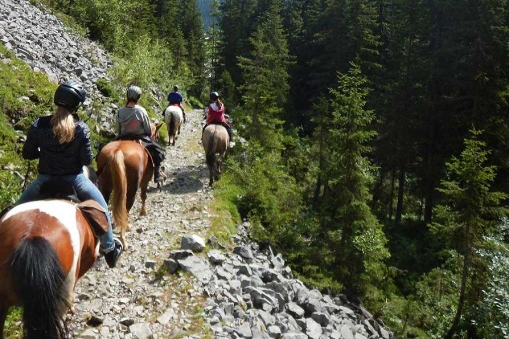 Un gruppo di persone cavalca lungo un sentiero roccioso, immerso in una fitta foresta.