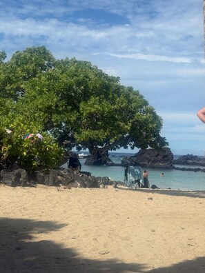 Une plage avec un grand arbre, des affleurements rocheux et un ciel dégagé.