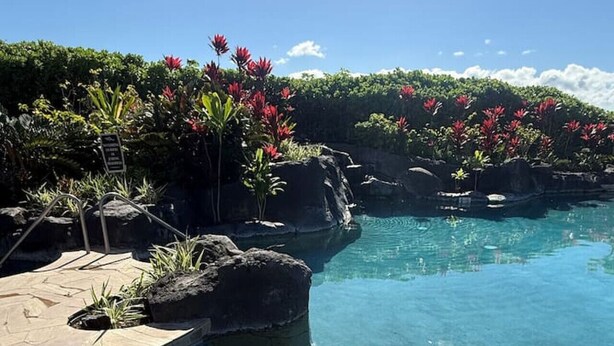 A clear pool with a stone edge, surrounded by rocks and tropical plants. - ‘26 Special! 2Bed/2Bath—BBQ/Hilton Pass/Walkable! (WAIKOLOA)