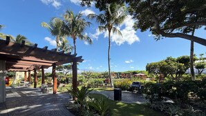 A garden with palm trees, a pergola, and a pathway leading to a building.